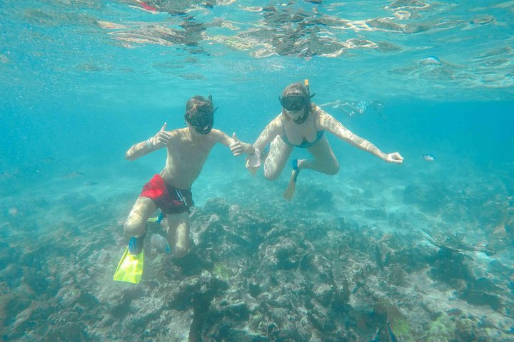 Catalina Island - Full Day All Inclusive Experience  - Photo 1 of 8